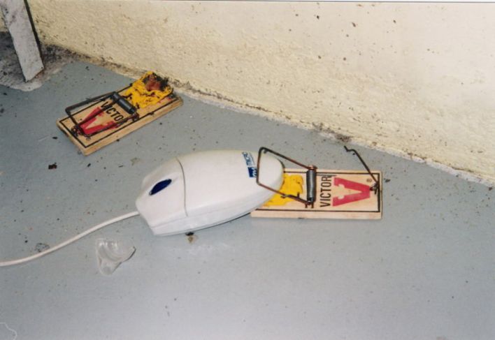 The ultimate mouse trap